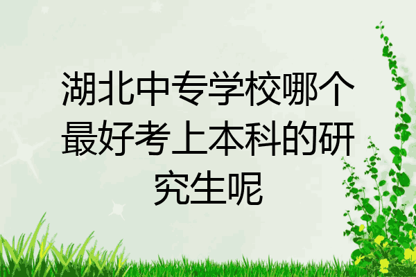 湖北中专学校哪个最好考上本科的研究生呢