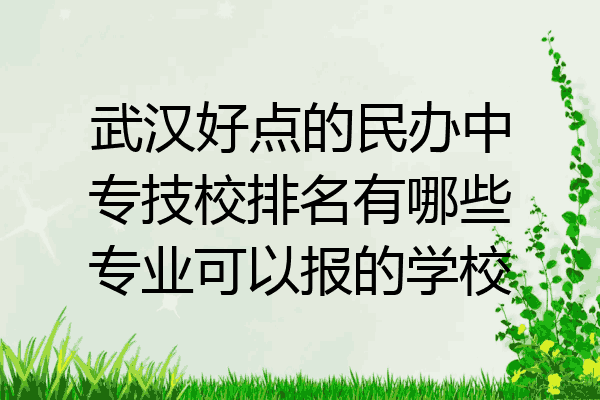 武汉好点的民办中专技校排名有哪些专业可以报的学校