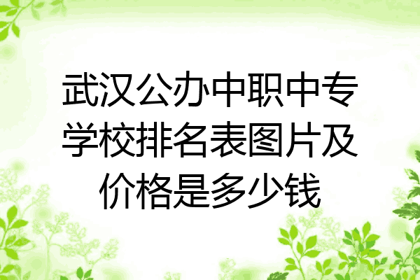 武汉公办中职中专学校排名表图片及价格是多少钱