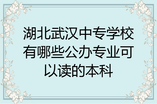 湖北武汉中专学校有哪些公办专业可以读的本科