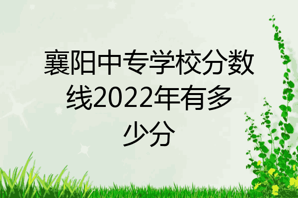 襄阳中专学校分数线2022年有多少分