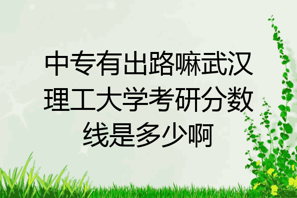 中专有出路嘛武汉理工大学考研分数线是多少啊