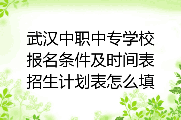 武汉中职中专学校报名条件及时间表招生计划表怎么填