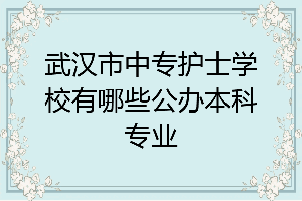 武汉市中专护士学校有哪些公办本科专业