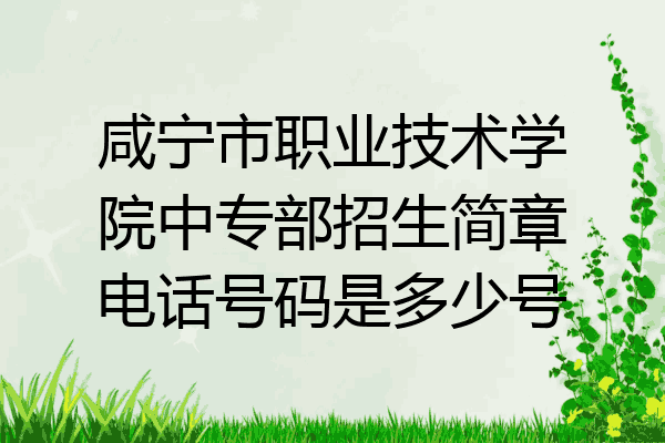 咸宁市职业技术学院中专部招生简章电话号码是多少号