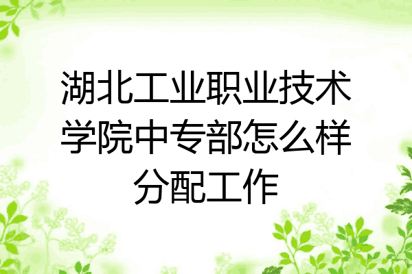 湖北工业职业技术学院中专部怎么样分配工作