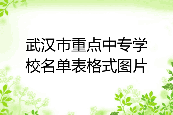 武汉市重点中专学校名单表格式图片