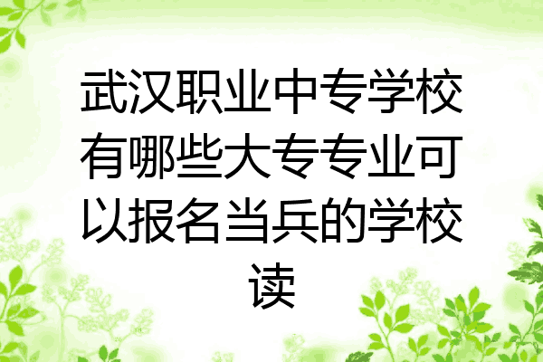 武汉职业中专学校有哪些大专专业可以报名当兵的学校读