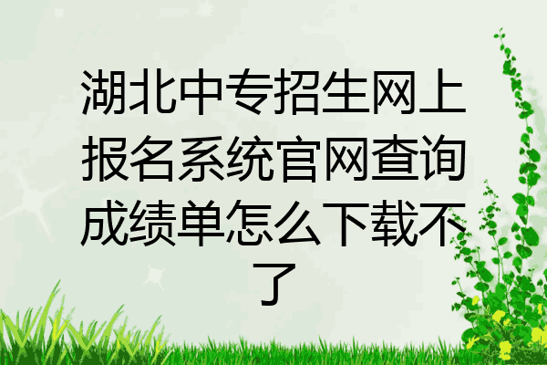 湖北中专招生网上报名系统官网查询成绩单怎么下载不了