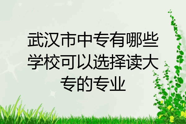 武汉市中专有哪些学校可以选择读大专的专业