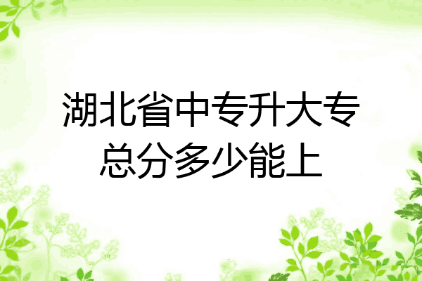 湖北省中专升大专总分多少能上