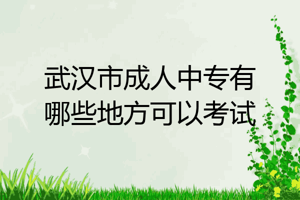 武汉市成人中专有哪些地方可以考试