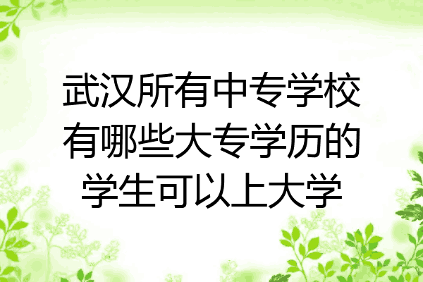 武汉所有中专学校有哪些大专学历的学生可以上大学