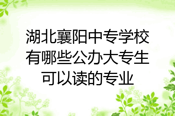 湖北襄阳中专学校有哪些公办大专生可以读的专业