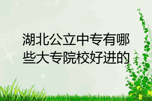 湖北公立中专有哪些大专院校好进的