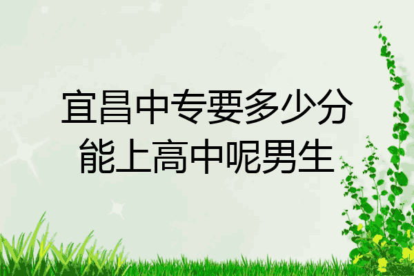 宜昌中专要多少分能上高中呢男生