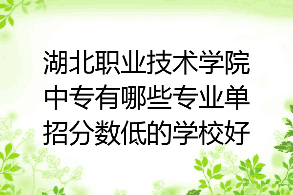 湖北职业技术学院中专有哪些专业单招分数低的学校好