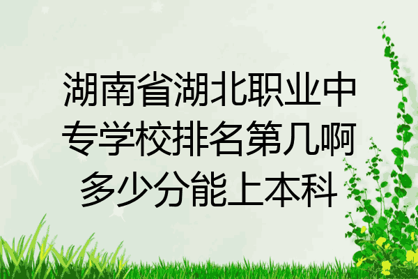 湖南省湖北职业中专学校排名第几啊多少分能上本科