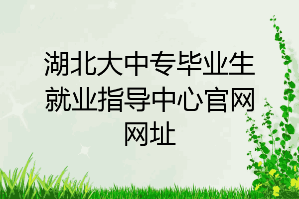 湖北大中专毕业生就业指导中心官网网址