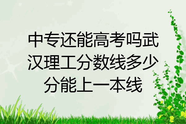 中专还能高考吗武汉理工分数线多少分能上一本线
