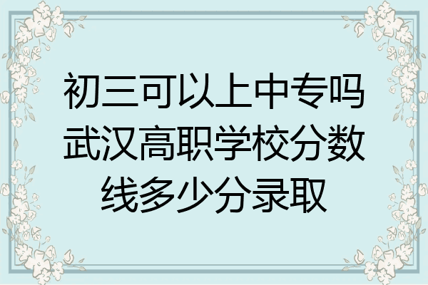 初三可以上中专吗武汉高职学校分数线多少分录取