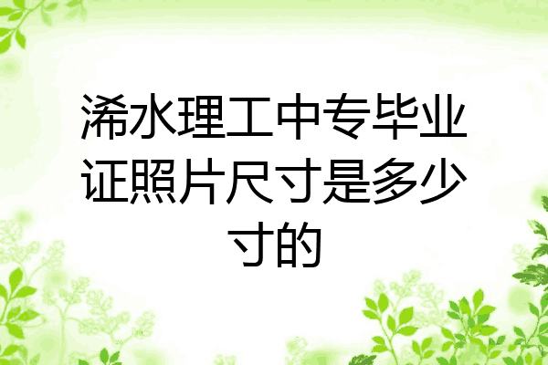 浠水理工中专毕业证照片尺寸是多少寸的