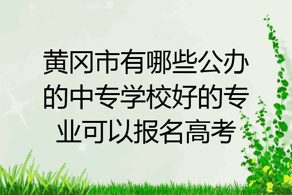 黄冈市有哪些公办的中专学校好的专业可以报名高考