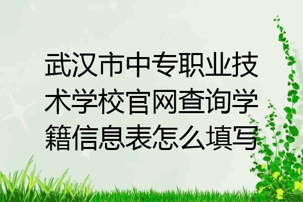 武汉市中专职业技术学校官网查询学籍信息表怎么填写