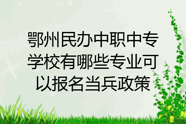 鄂州民办中职中专学校有哪些专业可以报名当兵政策