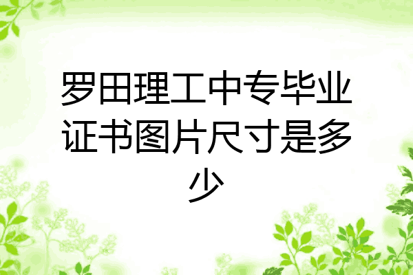 罗田理工中专毕业证书图片尺寸是多少