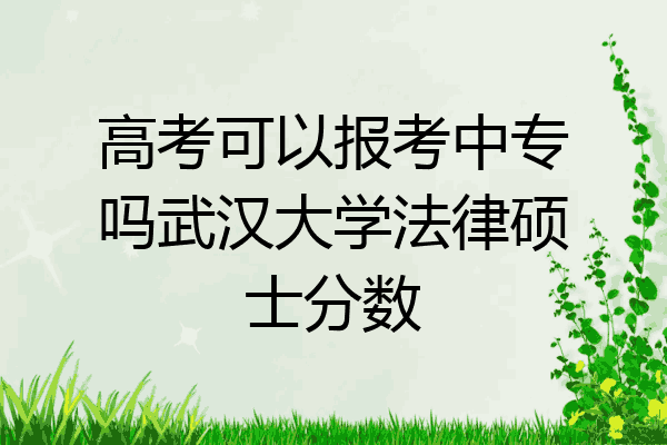 高考可以报考中专吗武汉大学法律硕士分数