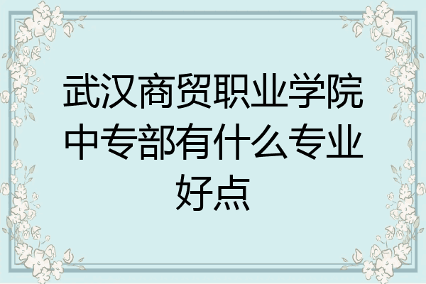武汉商贸职业学院中专部有什么专业好点