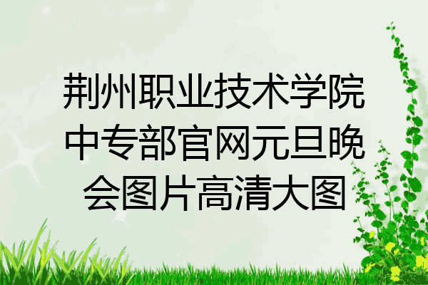 荆州职业技术学院中专部官网元旦晚会图片高清大图