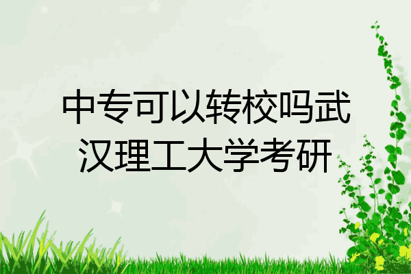 中专可以转校吗武汉理工大学考研