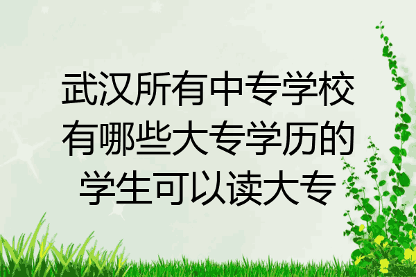 武汉所有中专学校有哪些大专学历的学生可以读大专