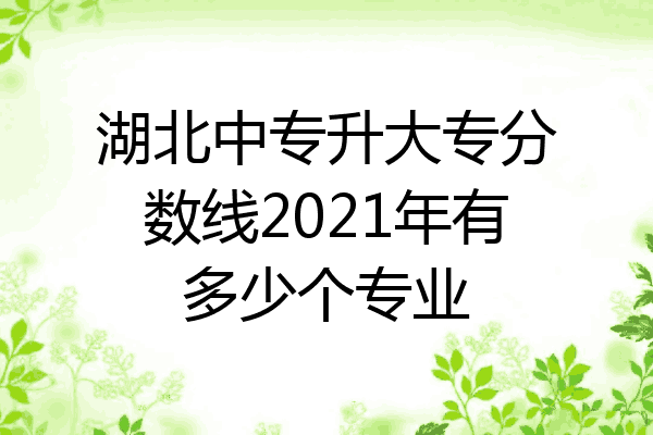 湖北中专升大专分数线2021年有多少个专业