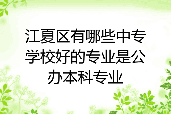 江夏区有哪些中专学校好的专业是公办本科专业