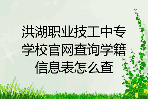 洪湖职业技工中专学校官网查询学籍信息表怎么查