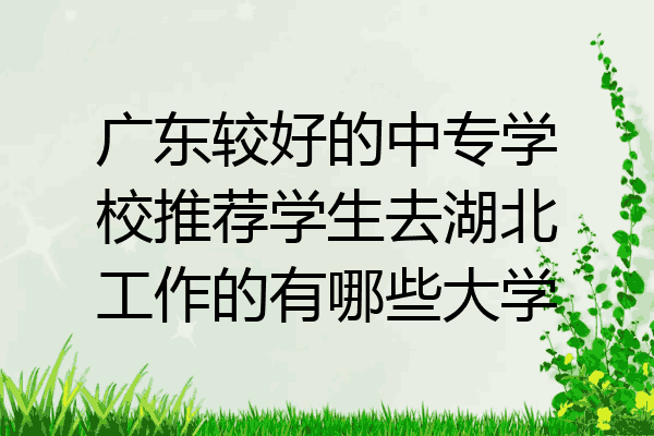 广东较好的中专学校推荐学生去湖北工作的有哪些大学