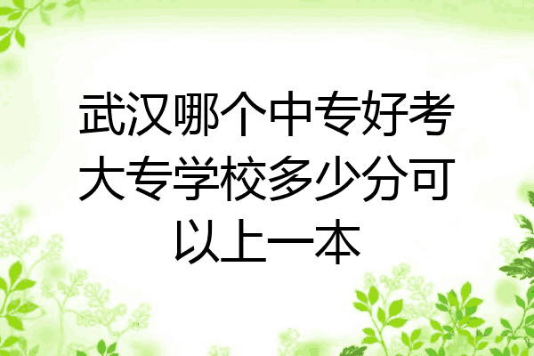 武汉哪个中专好考大专学校多少分可以上一本