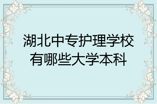 湖北中专护理学校有哪些大学本科