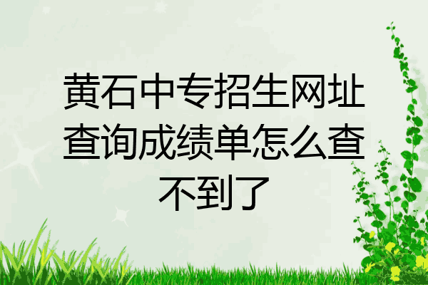 黄石中专招生网址查询成绩单怎么查不到了