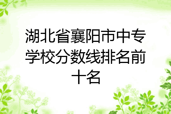 湖北省襄阳市中专学校分数线排名前十名