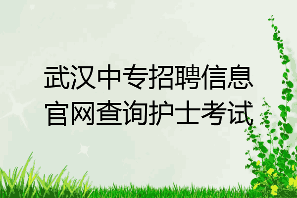 武汉中专招聘信息官网查询护士考试