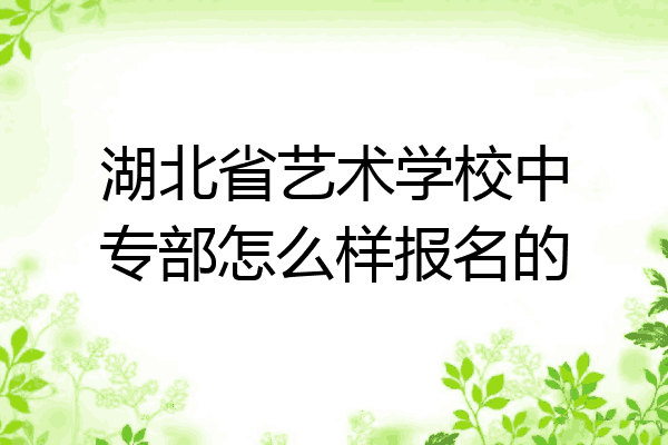 湖北省艺术学校中专部怎么样报名的