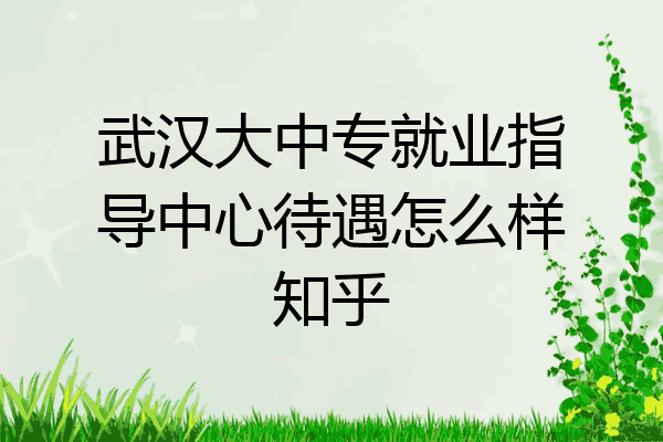 武汉大中专就业指导中心待遇怎么样知乎