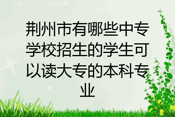 荆州市有哪些中专学校招生的学生可以读大专的本科专业