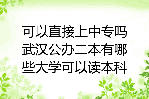 可以直接上中专吗武汉公办二本有哪些大学可以读本科