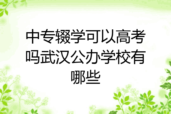 中专辍学可以高考吗武汉公办学校有哪些