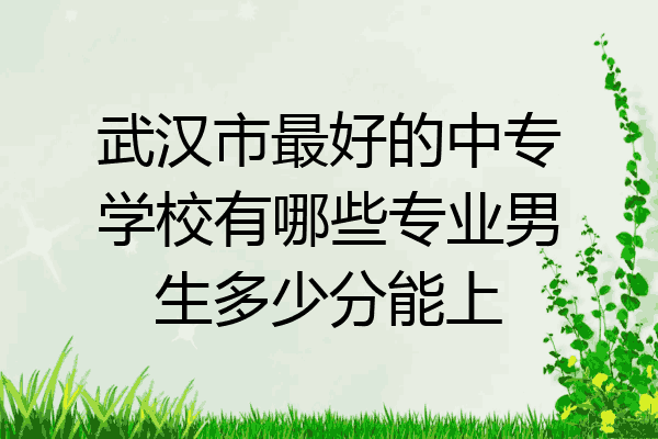 武汉市最好的中专学校有哪些专业男生多少分能上